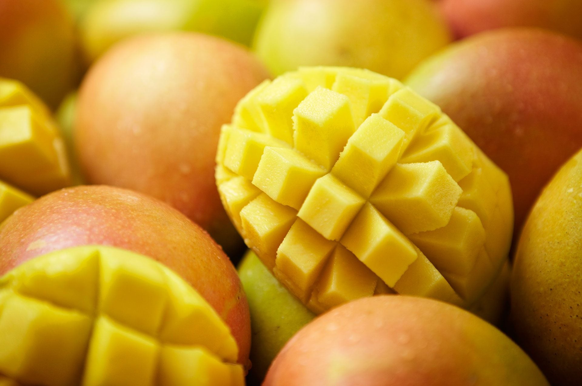 Mangoes Buy Ripe Mangoes From Your Canadian Mango Store Mangoes.ca